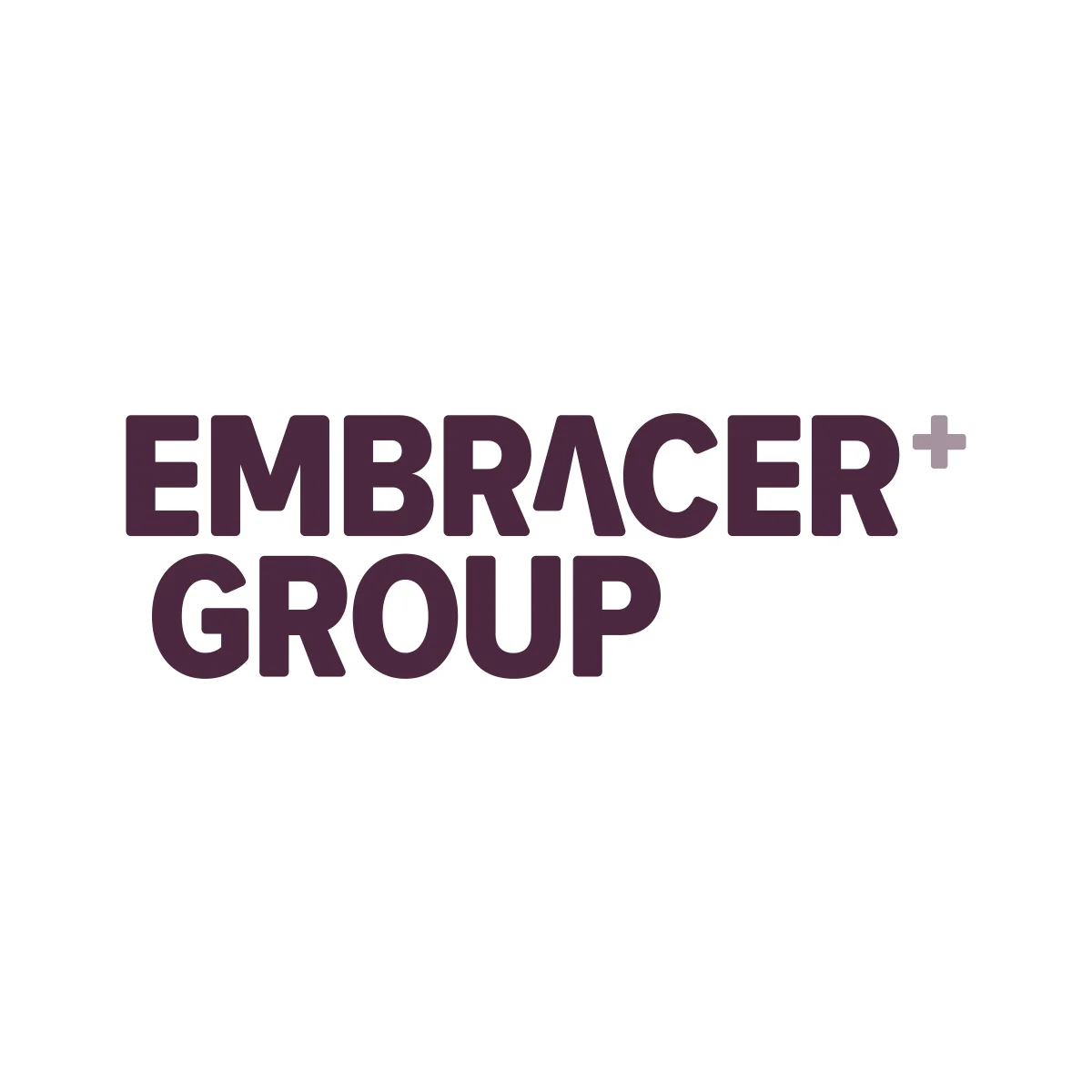 Embracer Group video game holding company logo in PNG and SVG Vector.