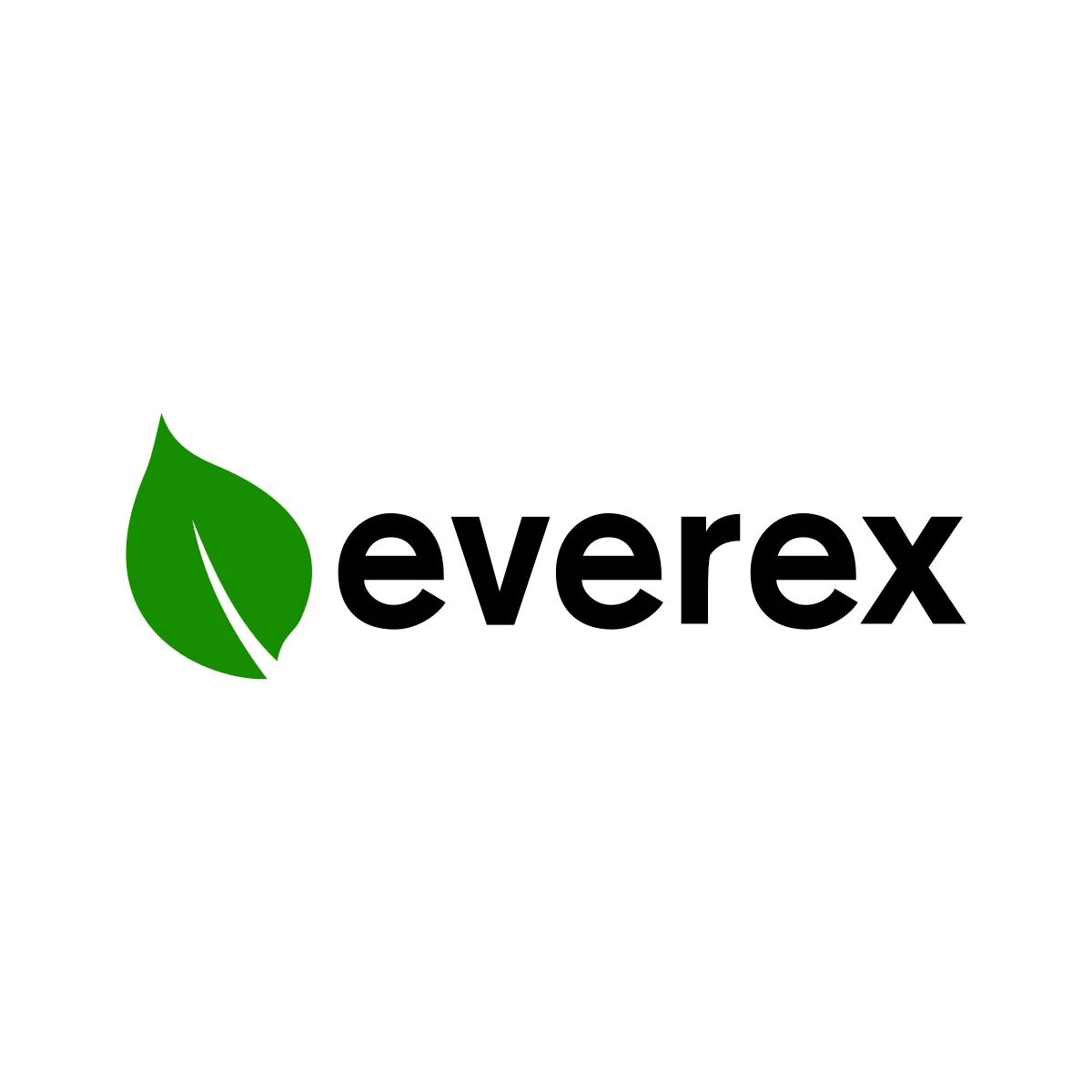 Everex historic personal computer manufacturer logo in PNG and SVG Vector.